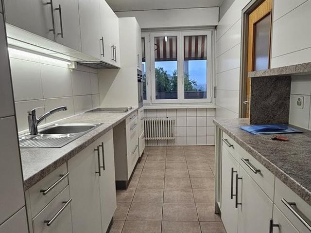 Apartment mieten in Onex