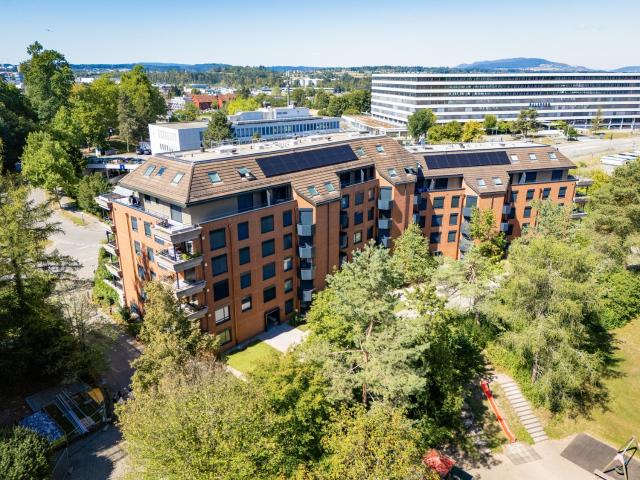 Apartment mieten in Opfikon, Zürich