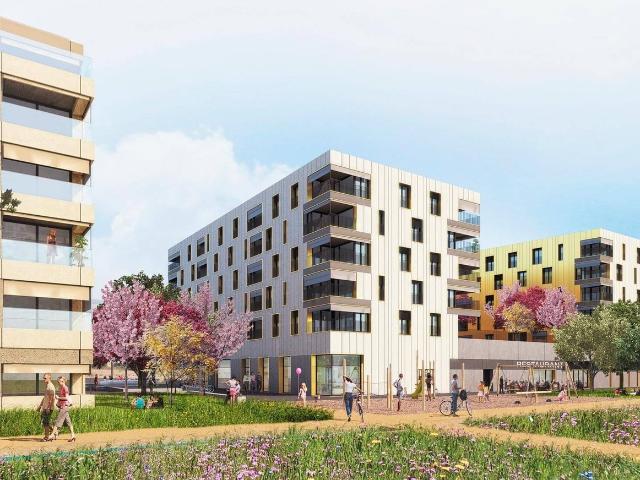 Apartment mieten in Orbe, Waadt