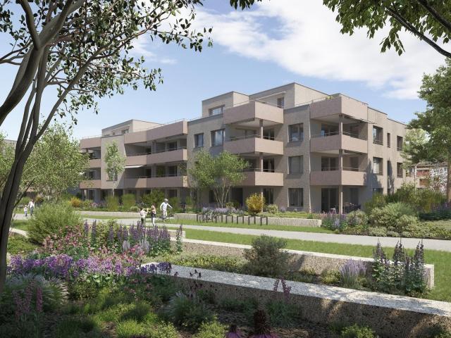 Apartment mieten in Othmarsingen, Aargau