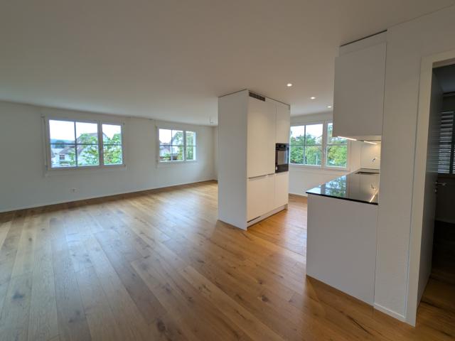 Apartment mieten in Ottenbach, Zürich