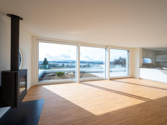 Apartment mieten in Pfäffikon (SZ), Zürich