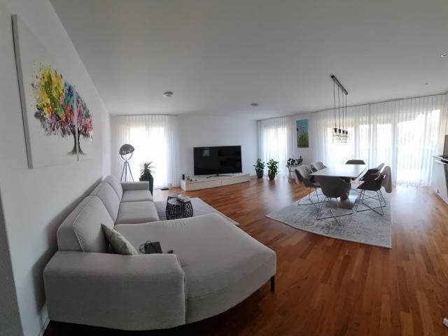 Apartment mieten in Pfungen, Zürich