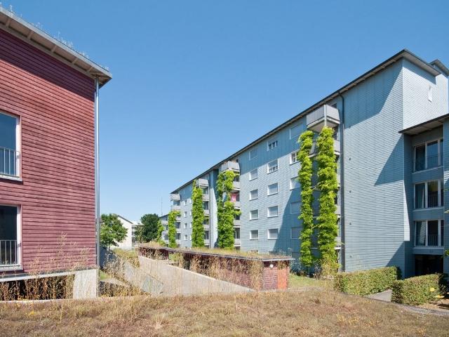 Apartment mieten in Rapperswil-Jona, St. Gallen