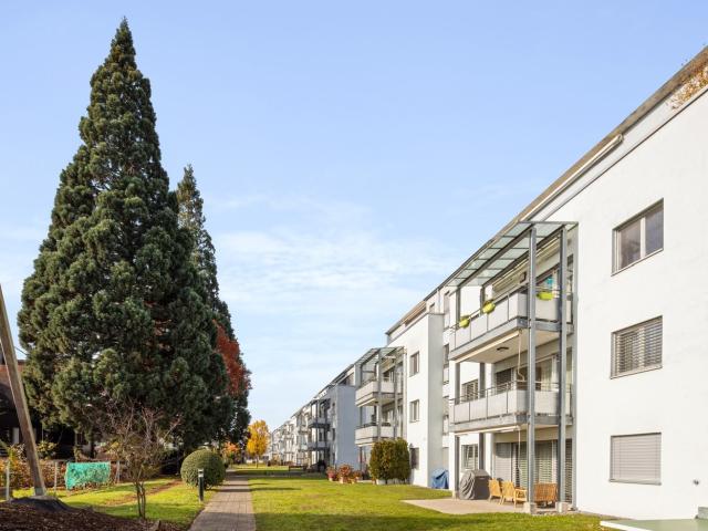 Apartment mieten in Rapperswil-Jona, St. Gallen