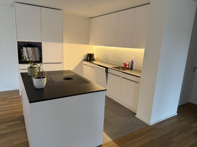 Apartment mieten in Reiden, Lü