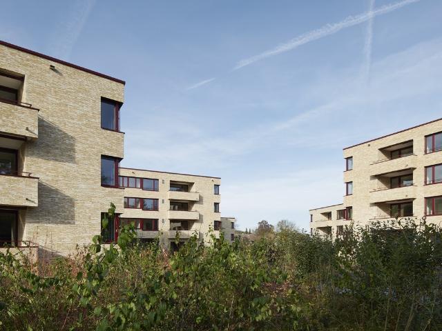 Apartment mieten in Reinach (BL), Basel-Landschaft