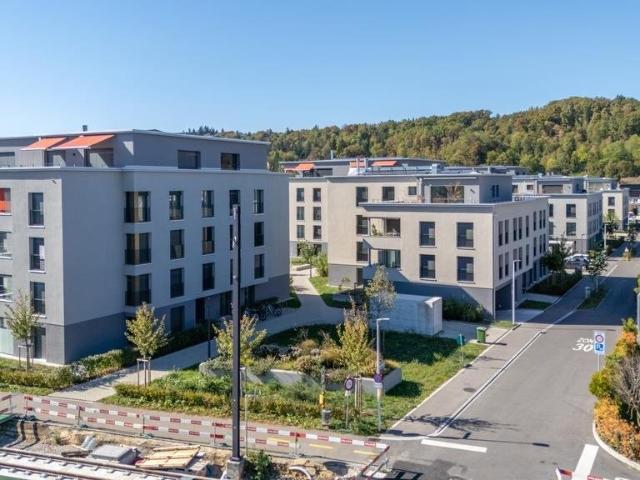 Apartment mieten in Reinacherhof, Reinach