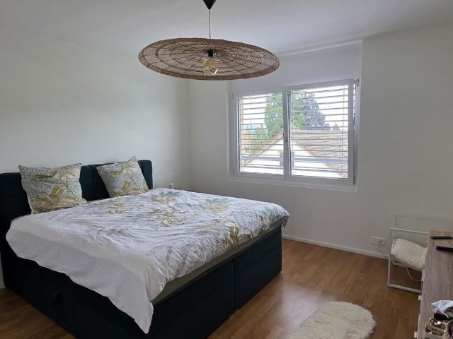 Apartment mieten in Reinach (AG), Aargau