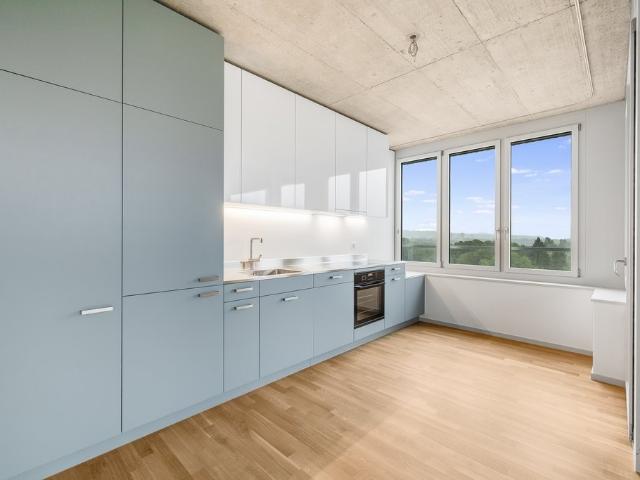 Apartment mieten in Reinach (BL), Basel-Landschaft