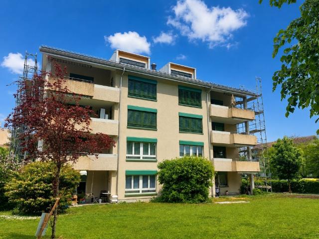 Apartment mieten in Rheinfelden, Aargau