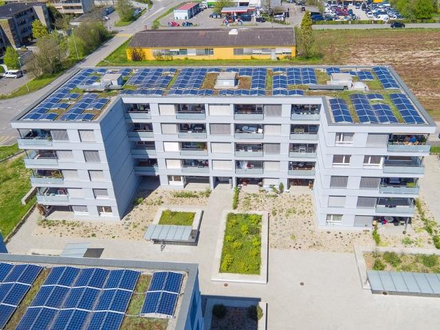 Apartment mieten in Rheinfelden, Aargau