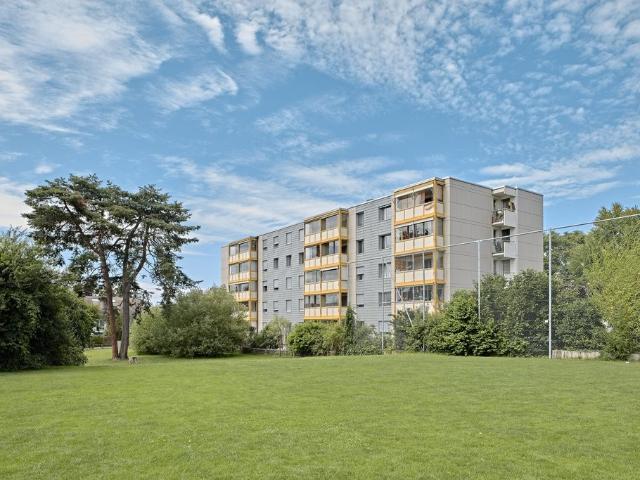Apartment mieten in Rheinfelden, Aargau