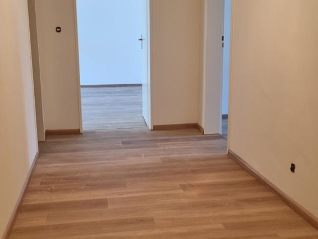 Apartment mieten in Riehen, Basel-Stadt