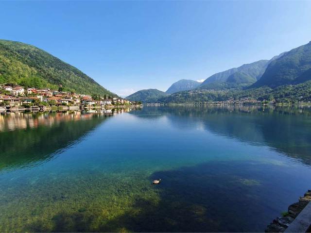 Apartment mieten in Riva San Vitale, Tessin