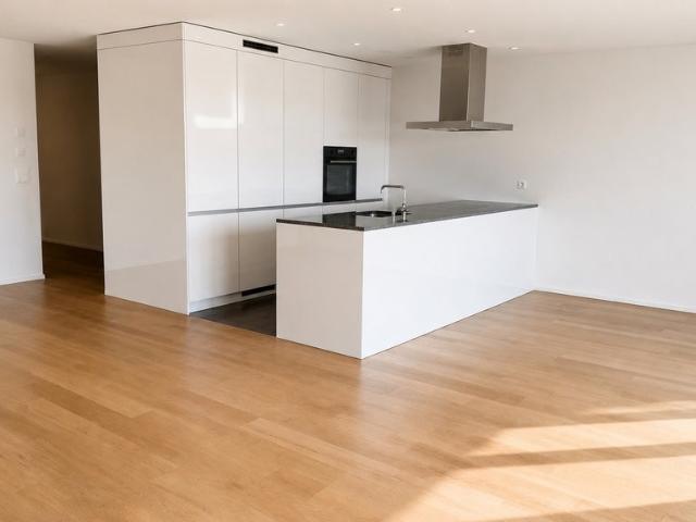 Apartment mieten in Romanshorn, Thurgau