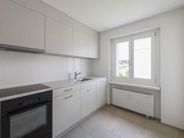 Apartment mieten in Rüti (ZH), Zürich