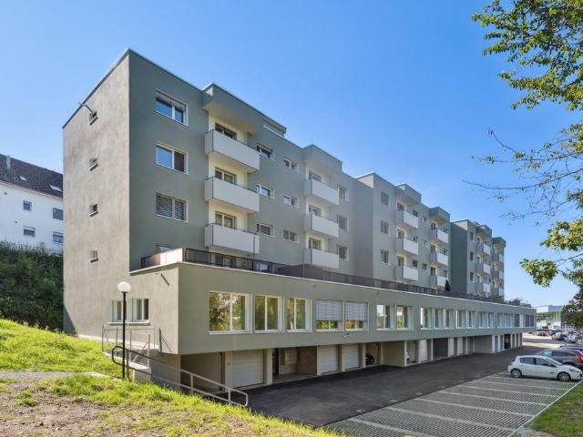 Apartment mieten in Richterswil, Zürich