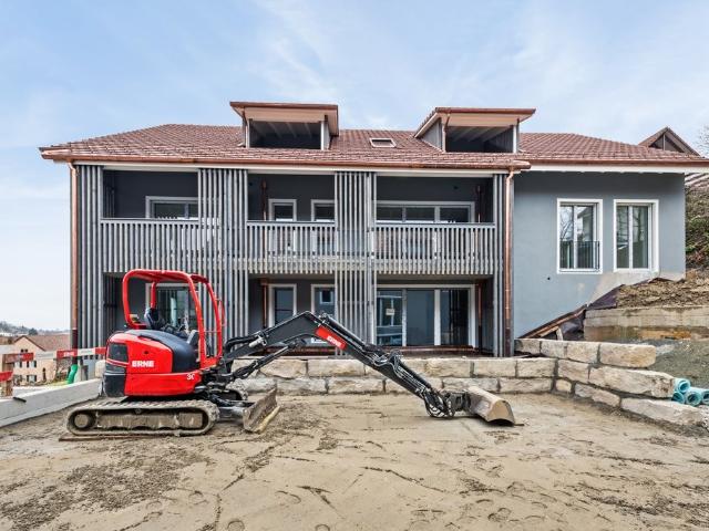 Apartment mieten in Schinznach Dorf, Aargau