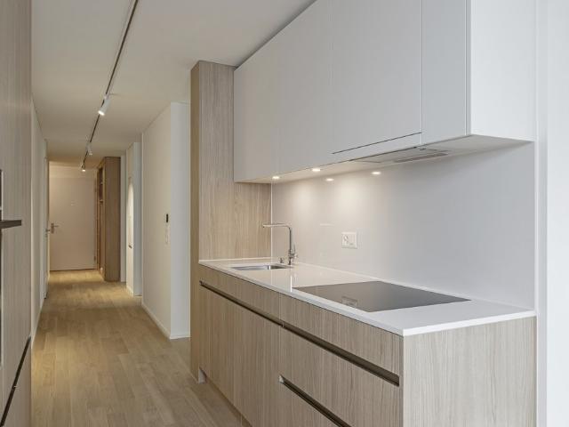 Apartment mieten in Schlieren, Zürich
