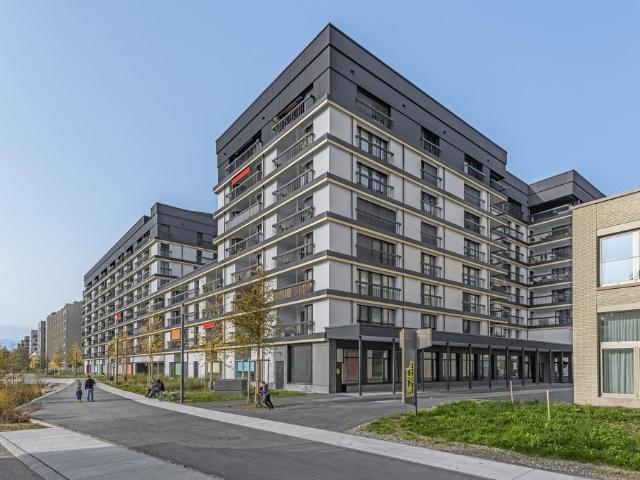 Apartment mieten in Schlieren, Zürich