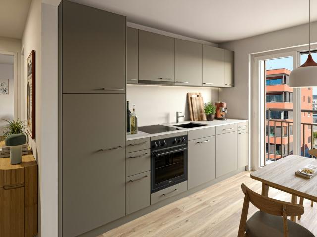 Apartment mieten in Schlieren, Bezirk Dietikon