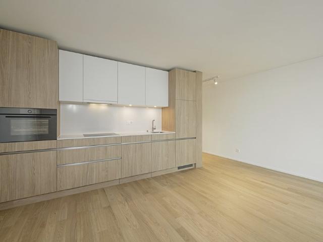 Apartment mieten in Schlieren, Bezirk Dietikon
