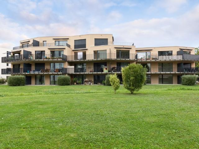 Apartment mieten in Schöftland, Aargau