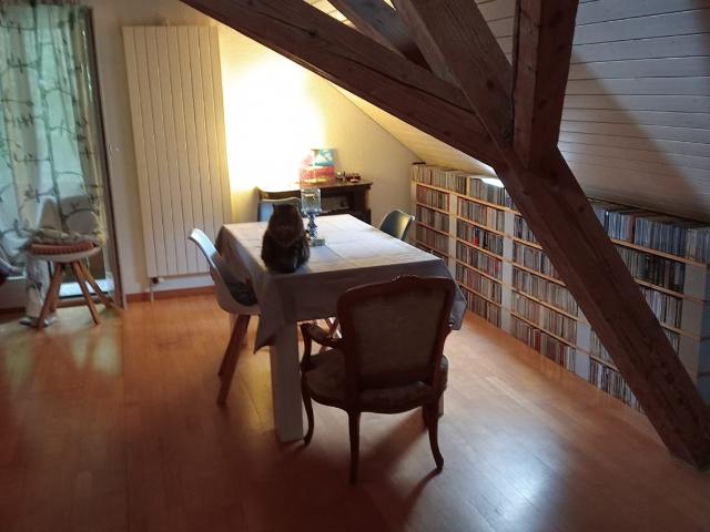 Apartment mieten in Schüpfen, Bern