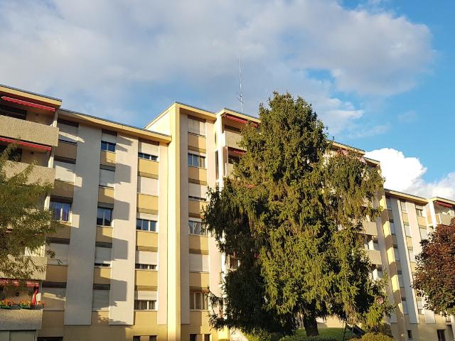 Apartment mieten in Les Mayens-de-Sion, Wallis