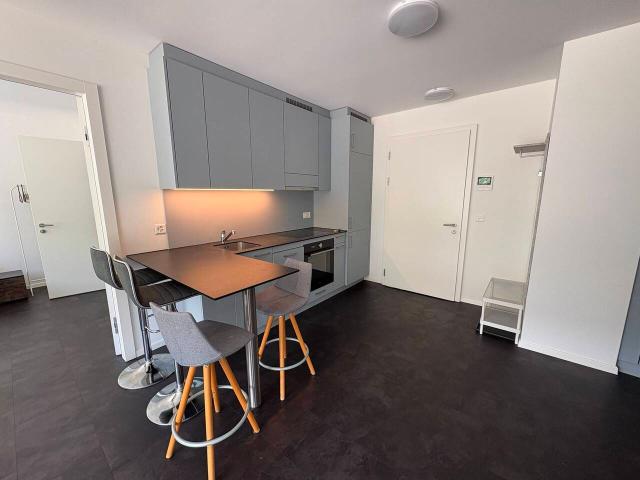 Apartment mieten in Les Mayens-de-Sion, Wallis