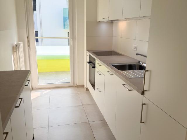 Apartment mieten in Locarno Monti, Locarno