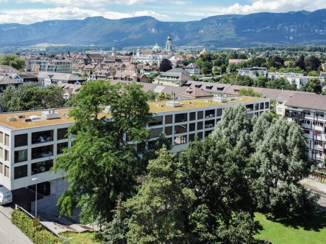 Apartment mieten in Solothurn