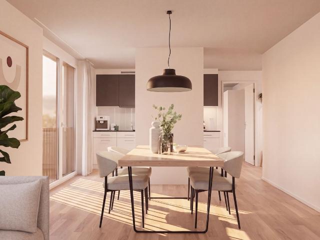Apartment mieten in Solothurn