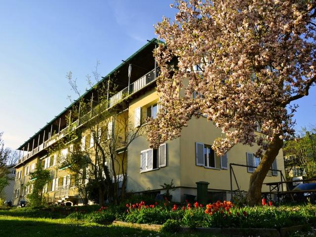 Apartment mieten in Solothurn
