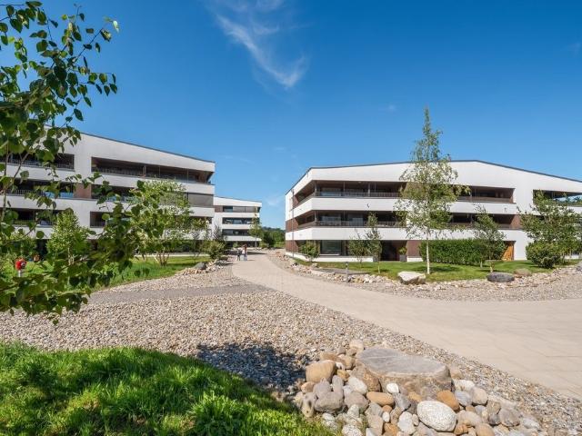 Apartment mieten in Lü