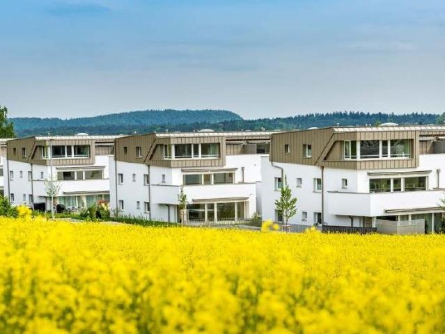 Apartment mieten in Stadel, Zürich