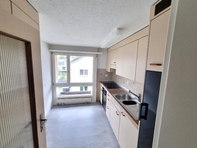 Apartment mieten in Stein am Rhein, Bezirk Frauenfeld