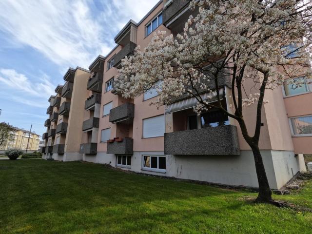Apartment mieten in Steinach, St. Gallen