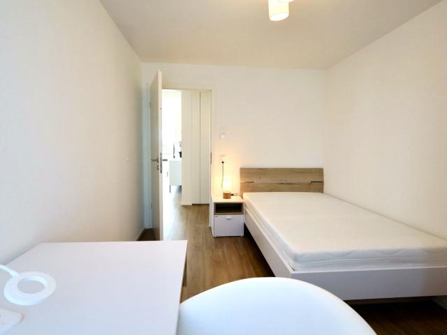 Apartment mieten in Steinhausen, Zug