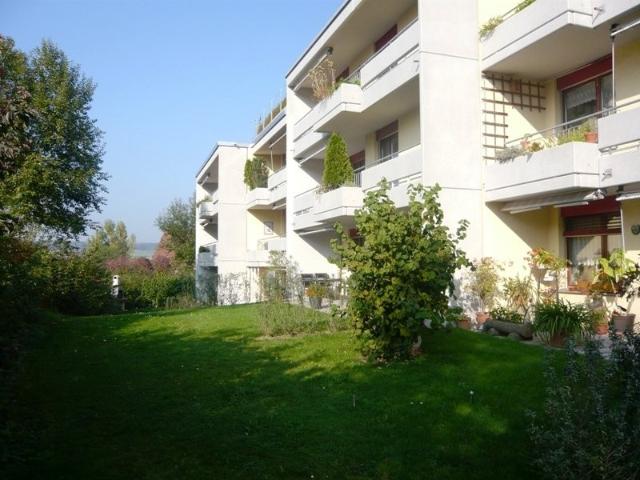 Apartment mieten in Steinmaur, Zürich