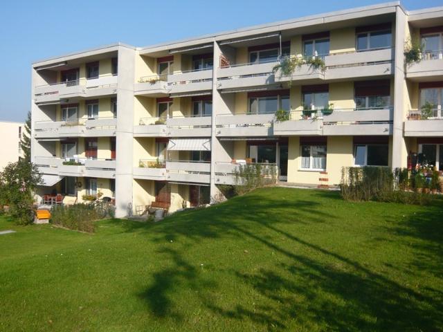 Apartment mieten in Steinmaur, Zürich