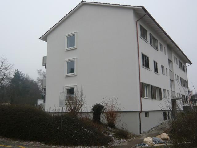 Apartment mieten in Steinmaur, Zürich