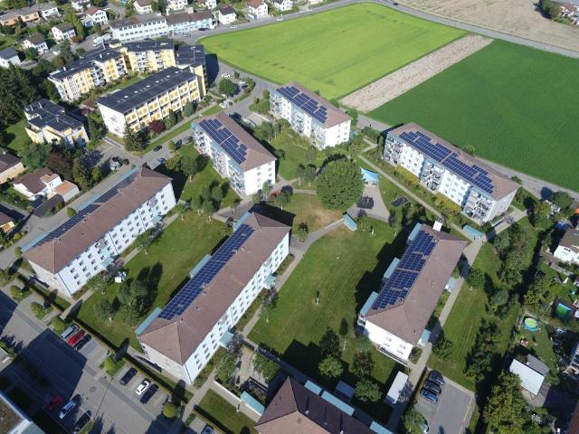 Apartment mieten in Strengelbach, Aargau