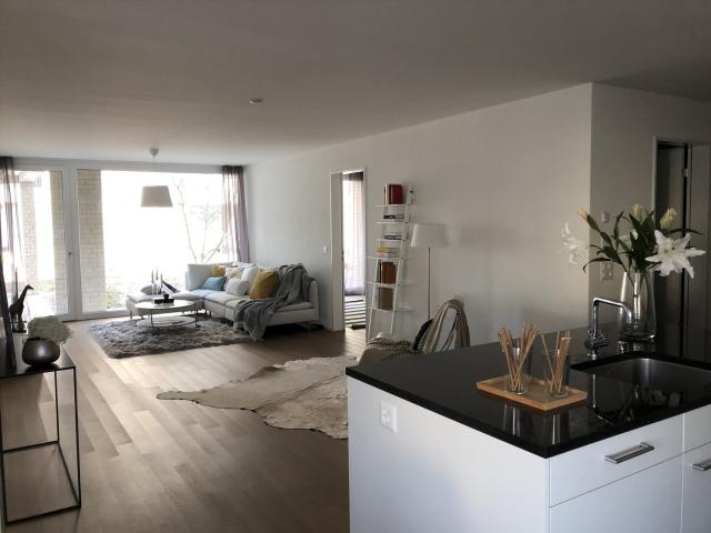 Apartment mieten in Suhr, Aargau