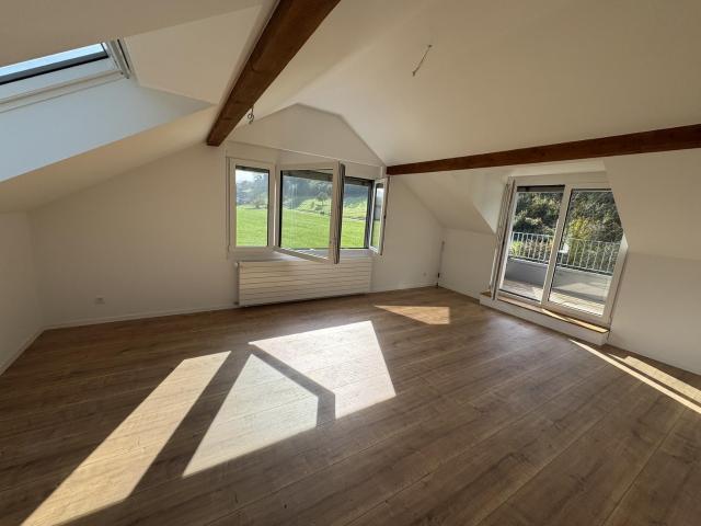 Apartment mieten in Ueken, Aargau