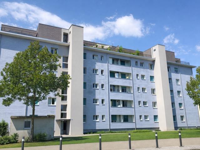 Apartment mieten in Niederuster, Uster