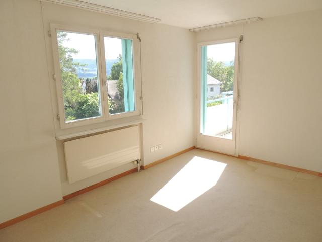Apartment mieten in Riedikon, Uster