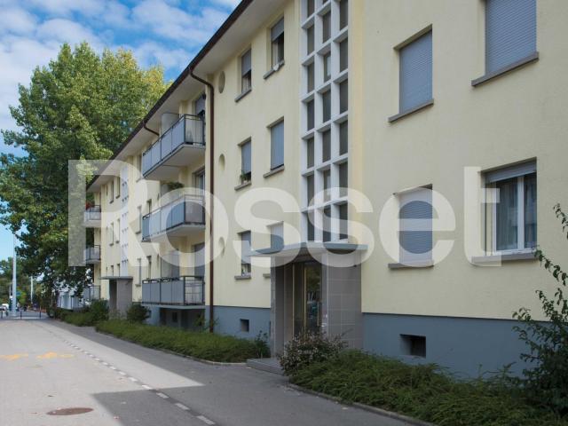 Apartment mieten in Aïre