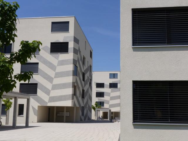 Apartment mieten in Villmergen, Bezirk Bremgarten